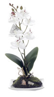 Tischdeko Künstliche Orchidee 12 Stück weiss 20cm